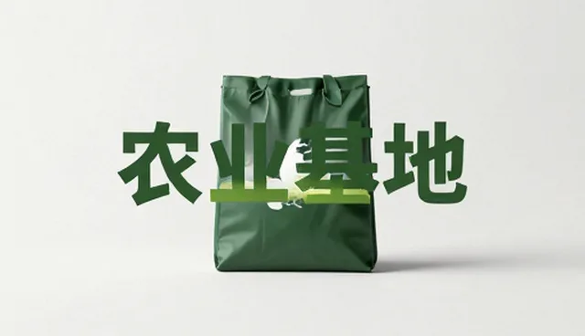 沟通机制缺失如何影响团队效率
